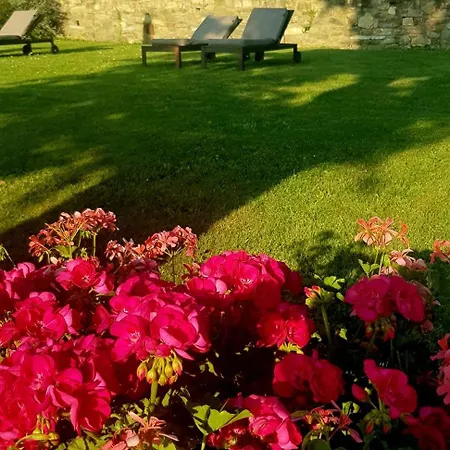 Poggio Al Sole